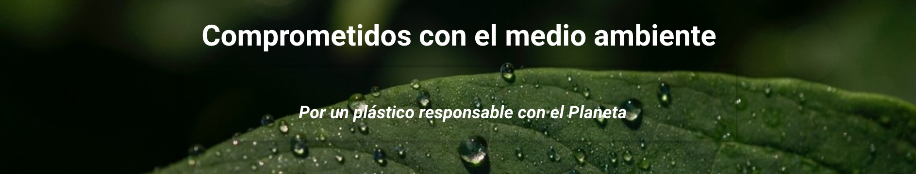 comprometidos_con_el_medio_ambiente comprometidos_con_el_medio_ambiente