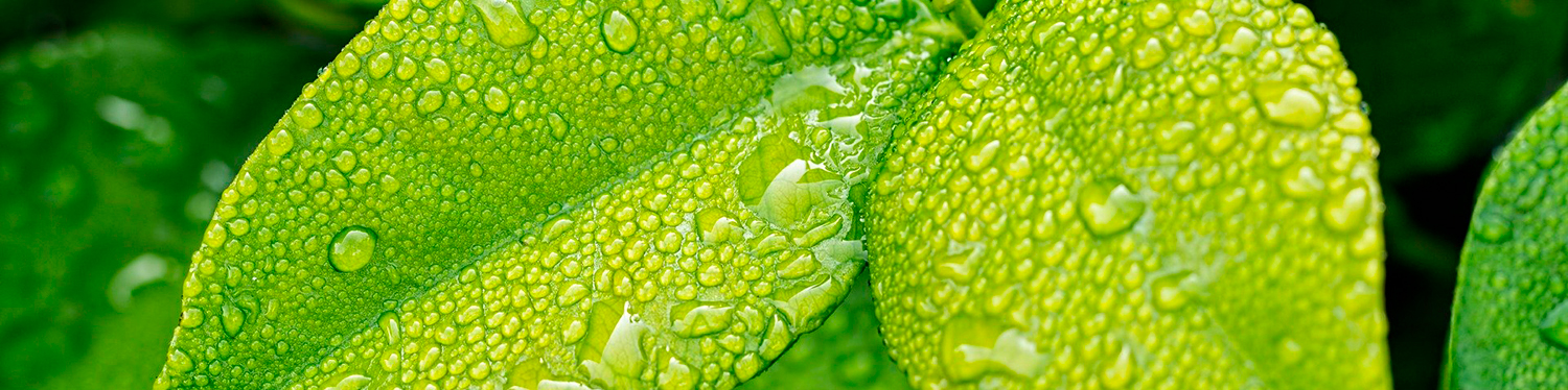 Por un plástico responsable con el Planeta