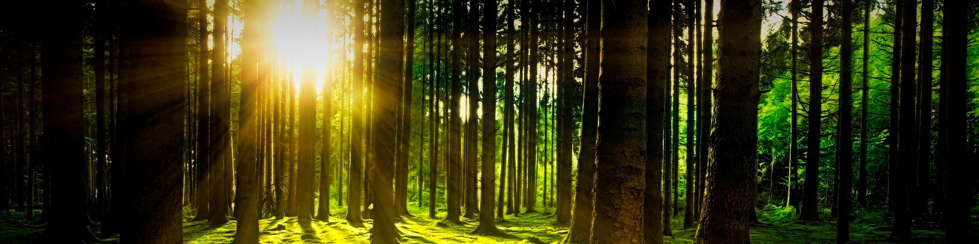 Por un plástico responsable con el Planeta